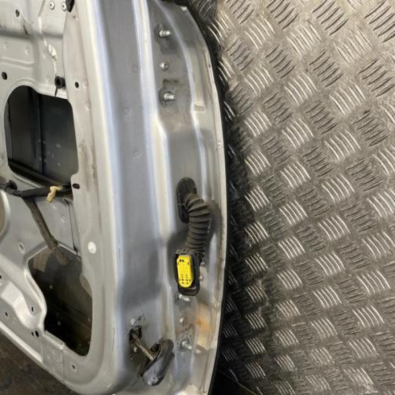 Porte arriere gauche RENAULT VEL SATIS Photo n°4