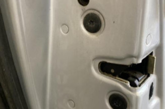 Porte arriere gauche RENAULT VEL SATIS