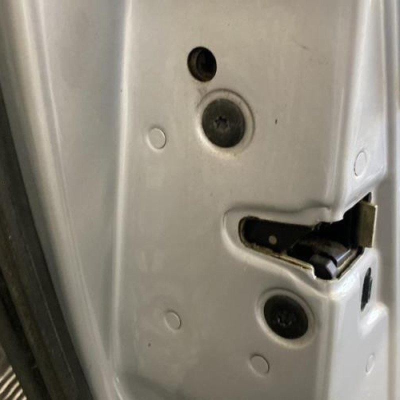 Porte arriere gauche RENAULT VEL SATIS Photo n°5
