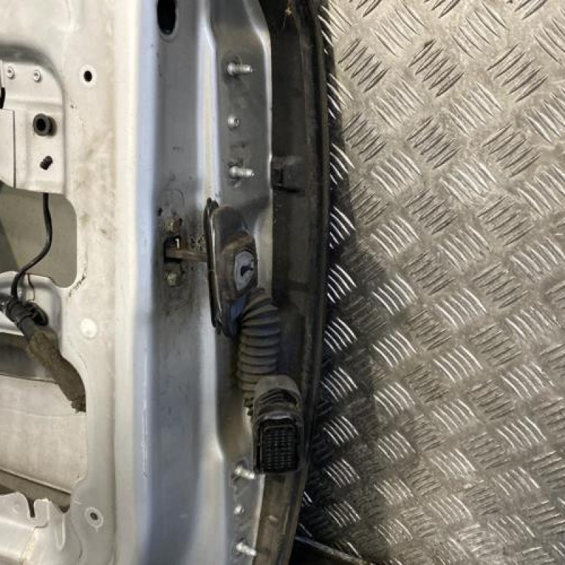 Porte avant gauche RENAULT VEL SATIS Photo n°4