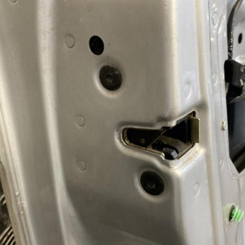 Porte avant gauche RENAULT VEL SATIS Photo n°5