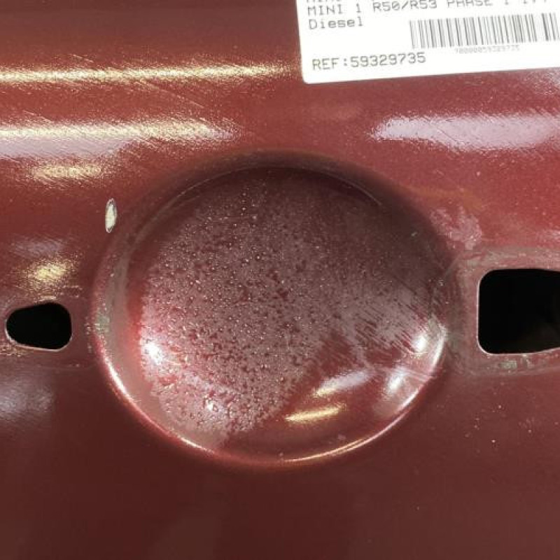 Porte avant gauche MINI MINI 1 R50/R53 Photo n°4