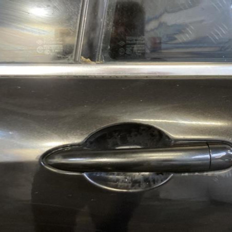 Porte arriere gauche RENAULT LAGUNA 3