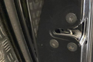 Porte arriere gauche RENAULT LAGUNA 3