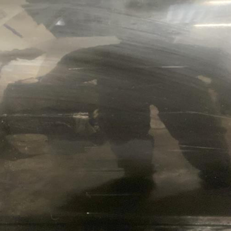 Porte arriere gauche MERCEDES CLASSE C 203 Photo n°4