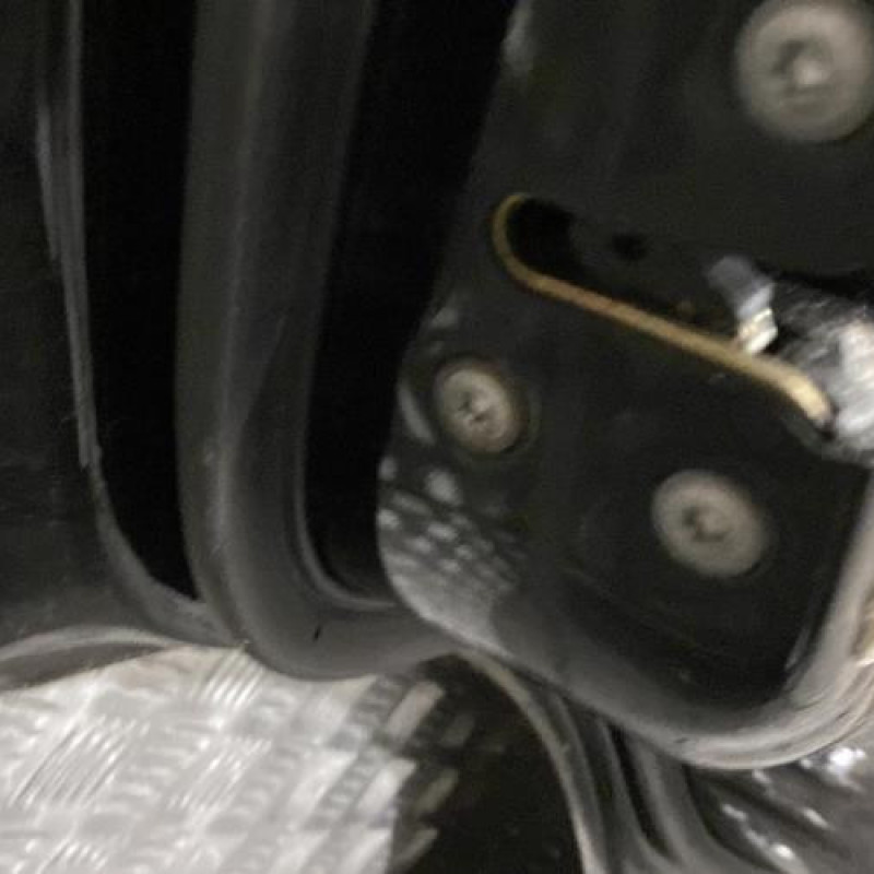 Porte arriere gauche NISSAN X-TRAIL 1 Photo n°8