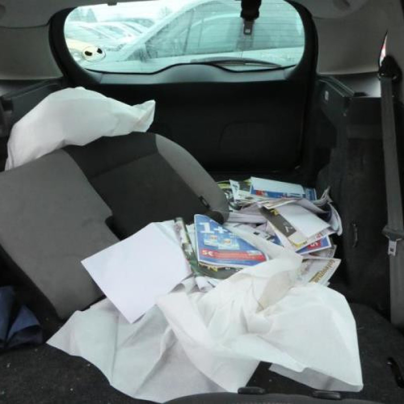 Tambour arriere gauche RENAULT CLIO 3 Photo n°9
