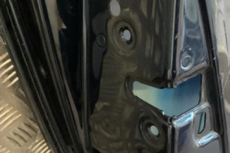 Porte arriere gauche RENAULT VEL SATIS