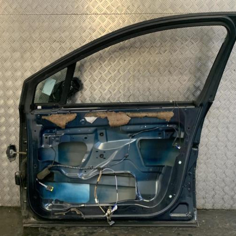 Porte avant droit RENAULT VEL SATIS Photo n°4