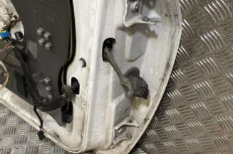 Porte avant gauche PEUGEOT 307