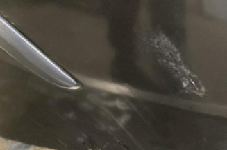 Porte arriere gauche RENAULT CLIO 3