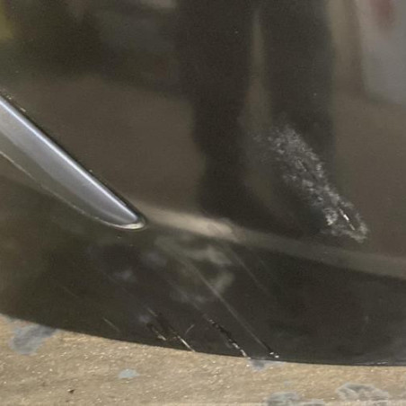 Porte arriere gauche RENAULT CLIO 3
