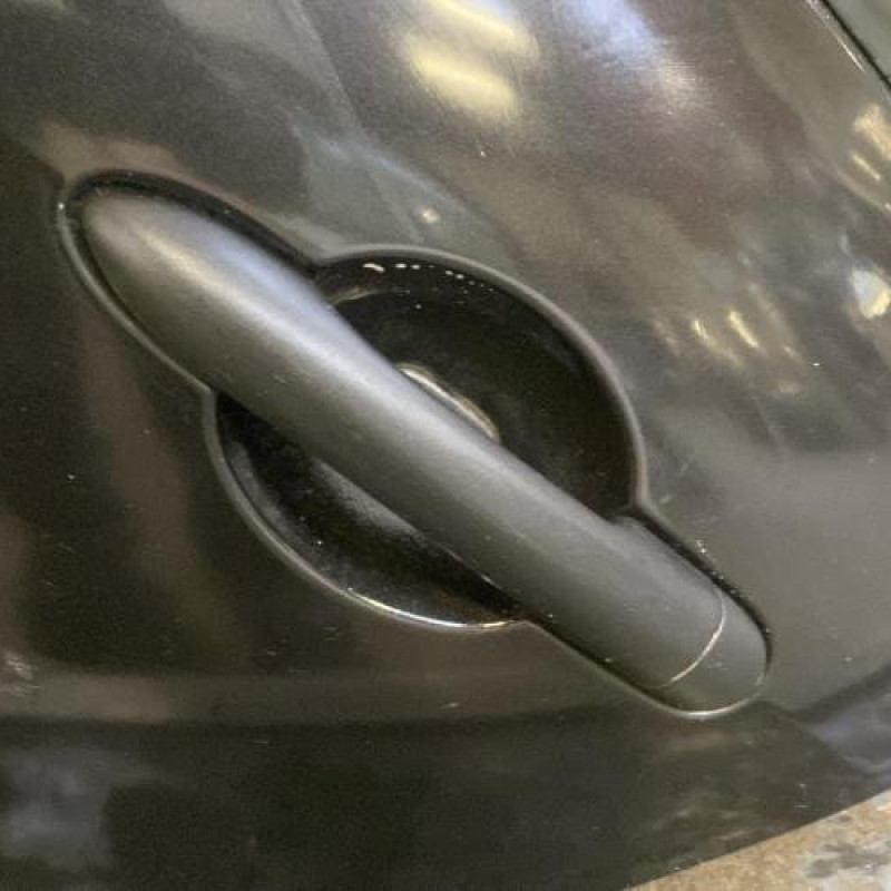 Porte arriere gauche RENAULT CLIO 3 Photo n°3