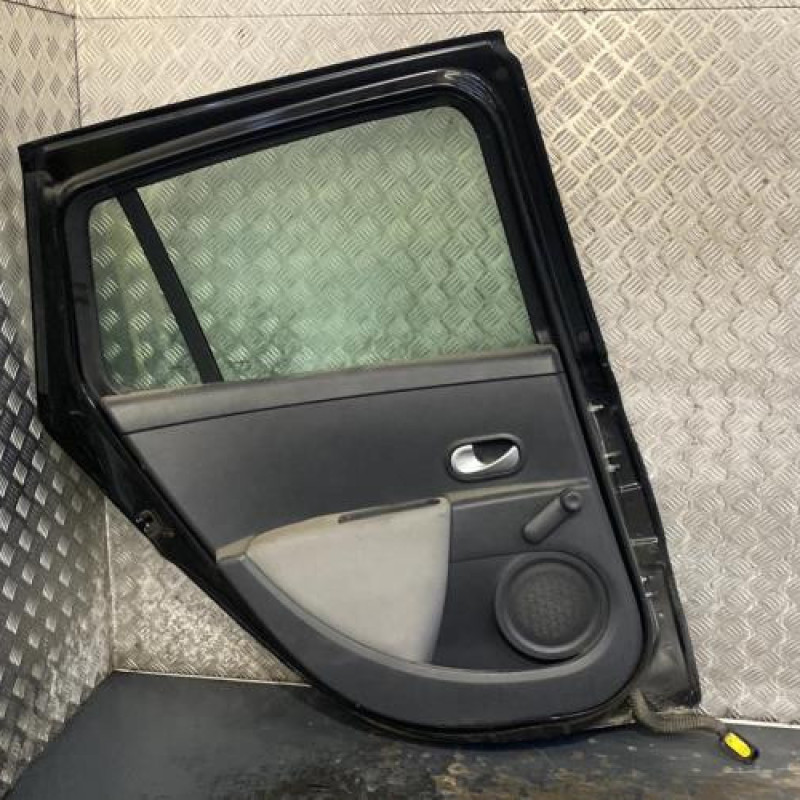 Porte arriere gauche RENAULT CLIO 3 Photo n°4