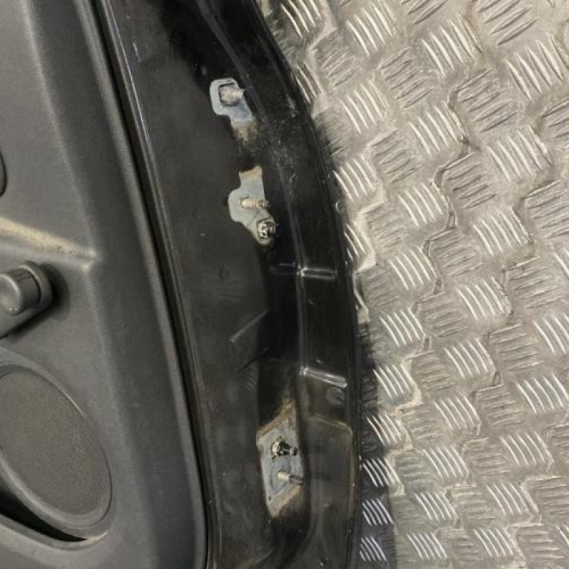 Porte arriere gauche RENAULT CLIO 3 Photo n°5