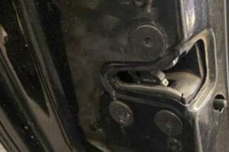 Porte arriere gauche RENAULT CLIO 3