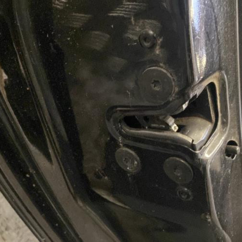Porte arriere gauche RENAULT CLIO 3 Photo n°6