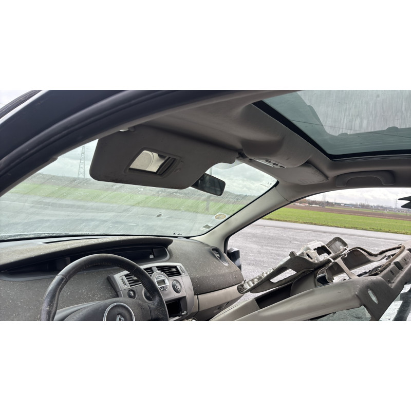 Poignee interieur arriere droit RENAULT SCENIC 2 Photo n°10