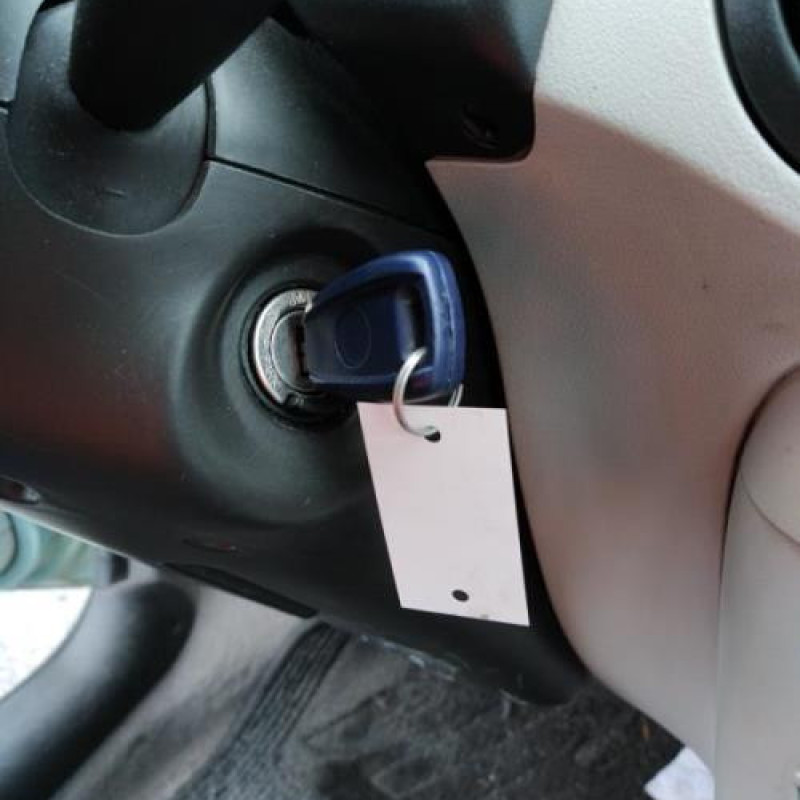 Porte arriere gauche FIAT PUNTO 2 Photo n°15