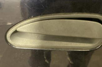 Porte arriere gauche RENAULT SAFRANE