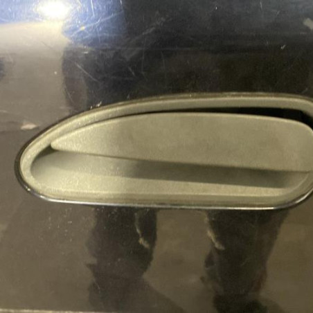 Porte arriere gauche RENAULT SAFRANE