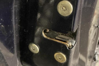 Porte arriere gauche RENAULT SAFRANE