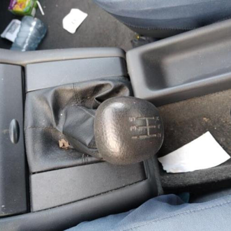 Porte arriere gauche RENAULT SAFRANE Photo n°12