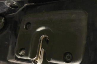 Porte avant gauche RENAULT SAFRANE