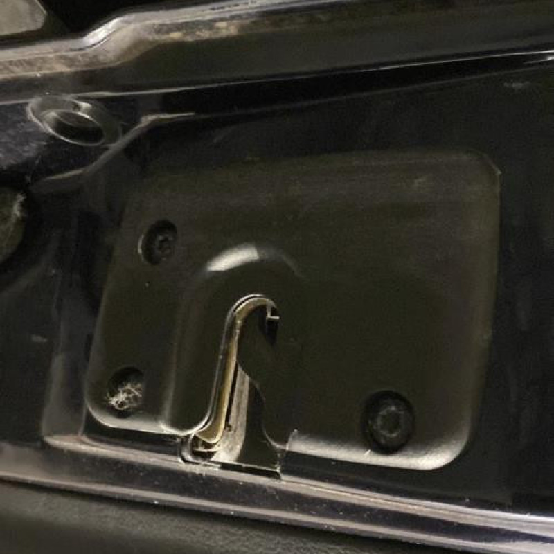 Porte avant gauche RENAULT SAFRANE Photo n°7