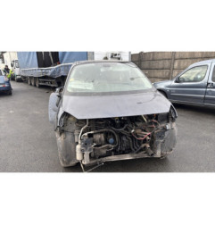Baguette de porte arriere gauche  RENAULT SCENIC 2