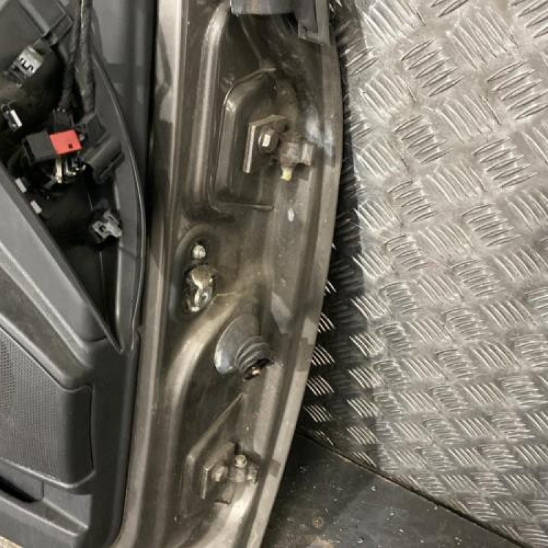 Porte avant gauche FIAT BRAVO 2 Photo n°6