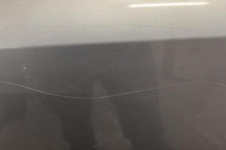Porte arriere gauche OPEL VECTRA C