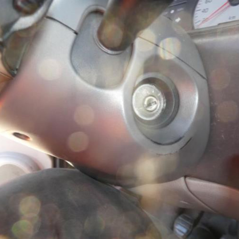 Alternateur RENAULT SCENIC 1 Photo n°14
