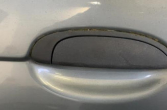 Porte arriere droit RENAULT SCENIC 1