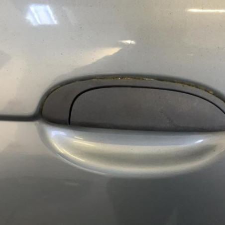Porte arriere droit RENAULT SCENIC 1