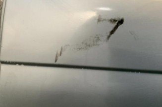 Porte arriere gauche RENAULT SCENIC 1