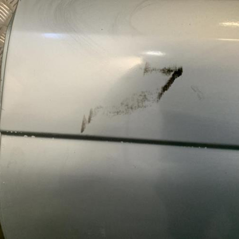 Porte arriere gauche RENAULT SCENIC 1 Photo n°2