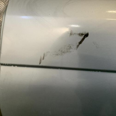 Porte arriere gauche RENAULT SCENIC 1