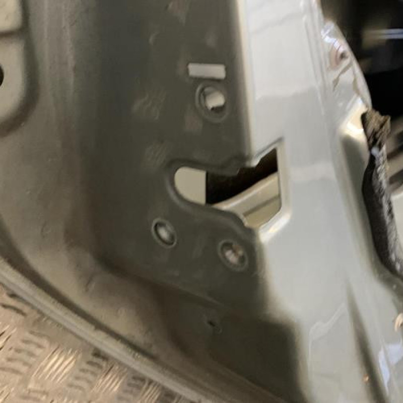 Porte arriere gauche RENAULT SCENIC 1 Photo n°5