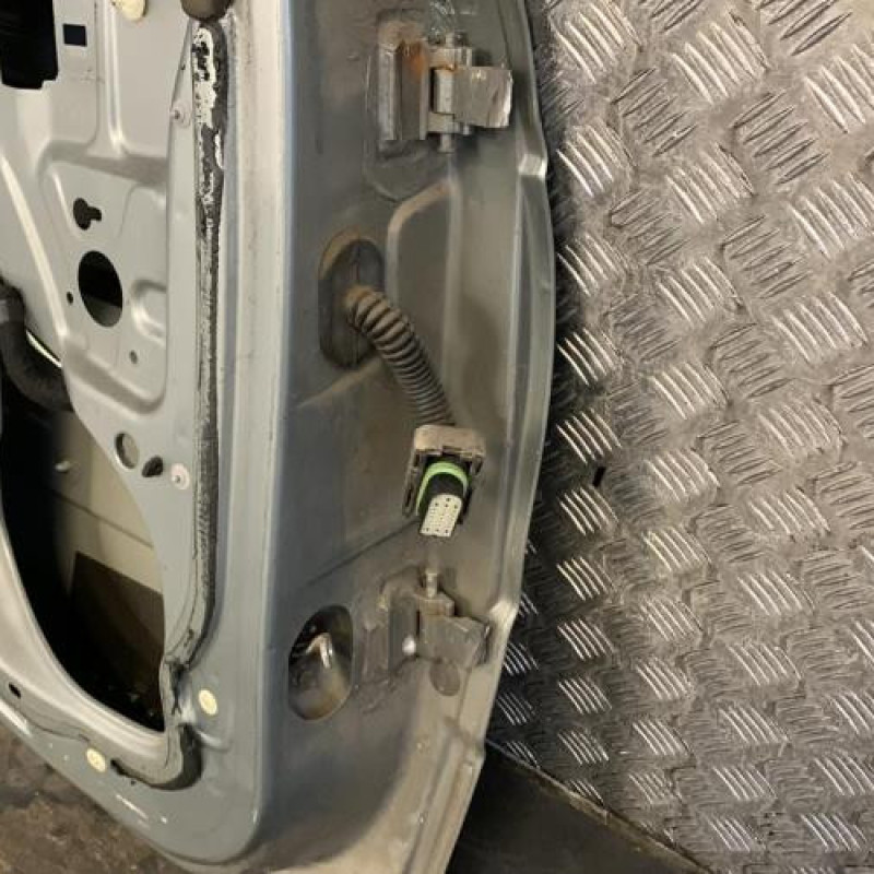 Porte arriere gauche RENAULT SCENIC 1 Photo n°6