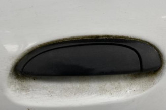 Porte arriere gauche RENAULT CLIO 2
