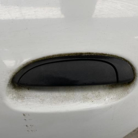 Porte arriere gauche RENAULT CLIO 2