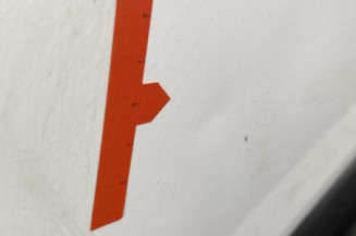Porte arriere gauche RENAULT CLIO 2