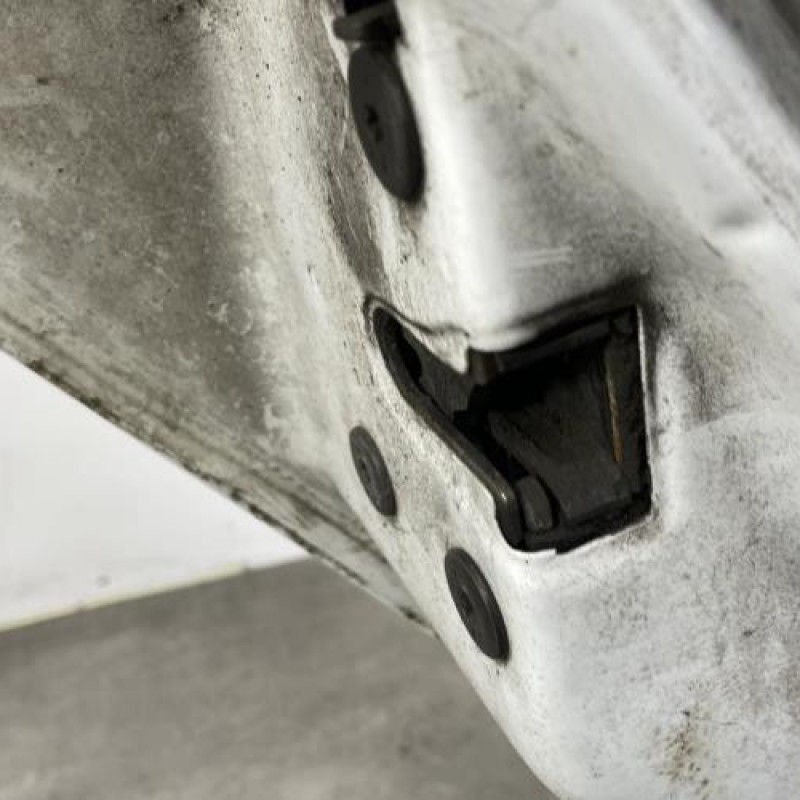 Porte arriere gauche RENAULT CLIO 2 Photo n°5