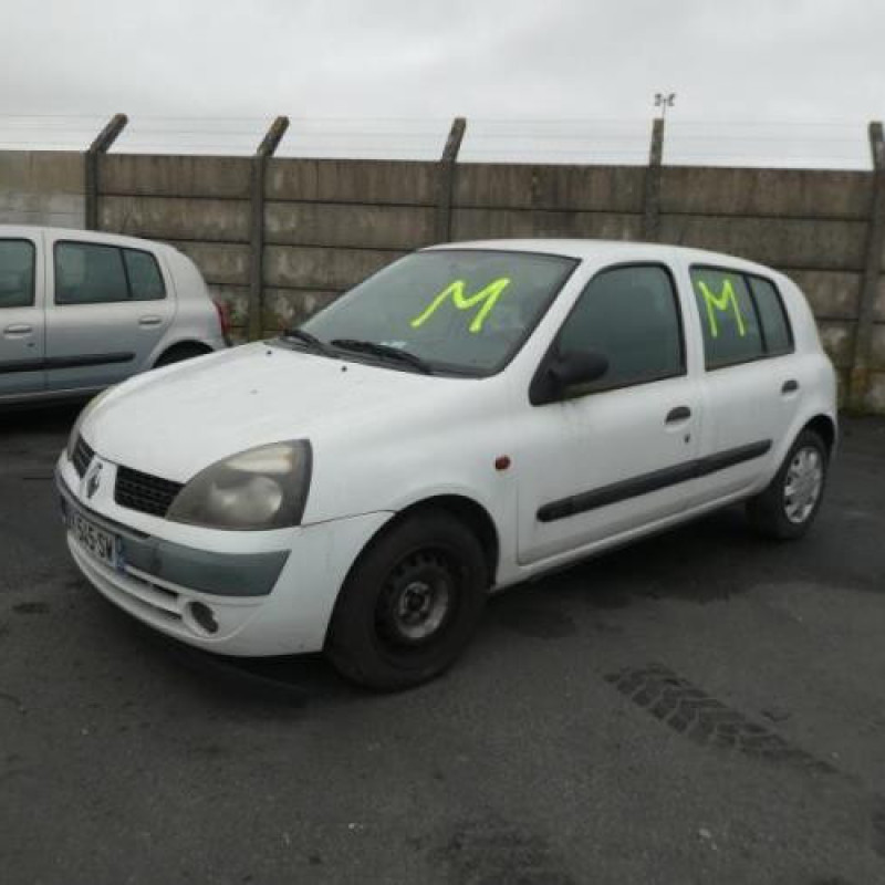 Porte arriere gauche RENAULT CLIO 2 Photo n°7