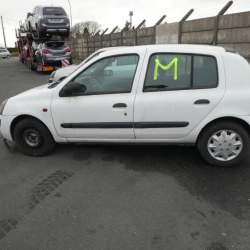 Porte arriere gauche RENAULT CLIO 2 Photo n°12