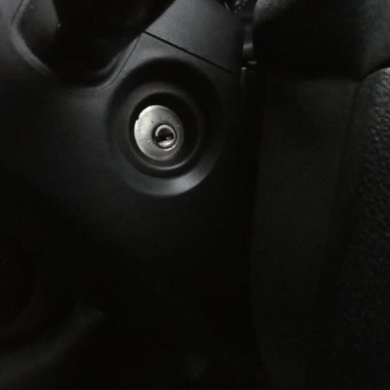 Porte arriere gauche RENAULT CLIO 2 Photo n°19