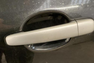Porte arriere gauche PEUGEOT 307