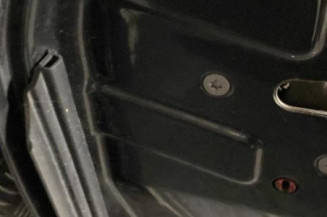 Porte arriere gauche PEUGEOT 307