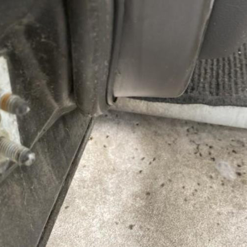 Porte avant droit BMW SERIE 3 E90 Photo n°8